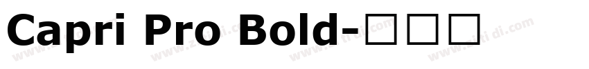 Capri Pro Bold字体转换